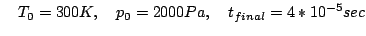 \quad T_0=300 K, \quad p_0 = 2000 Pa, \quad t_{final}=4*10^{-5} sec