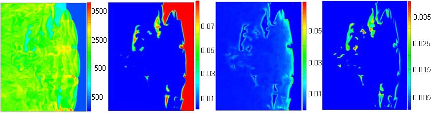 Flow fields of case 2. 