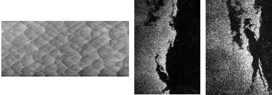 Smoke foil and OH profile for 2H2+O2+17Ar mixture. 