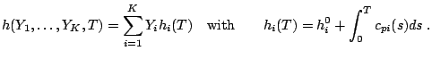  h(Y_1,\dots,Y_K,T) = \displaystyle \sum_{i=1}^K Y_i h_i(T) \quad {\rm with} \qquad \displaystyle h_i(T) = h_i^0 + \int_0^T c_{pi}(s) ds \;. 