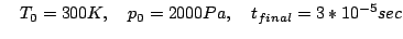 \quad T_0=300 K, \quad p_0 = 2000 Pa, \quad t_{final}=3*10^{-5} sec