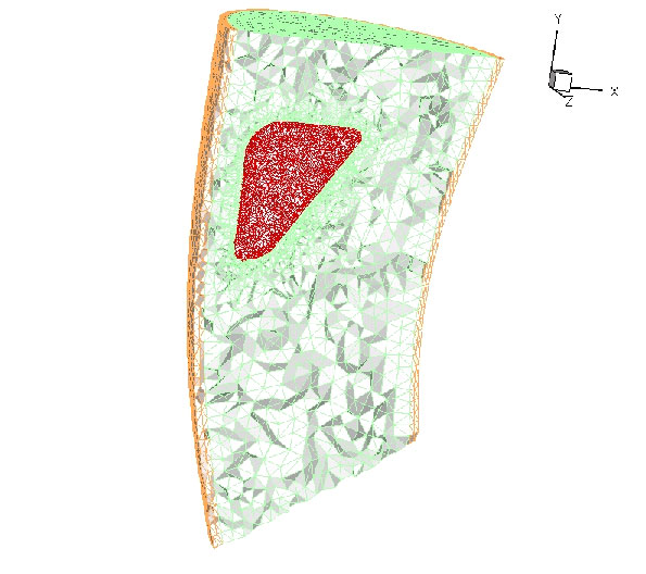 Description of the liver inside a homogenuous torso